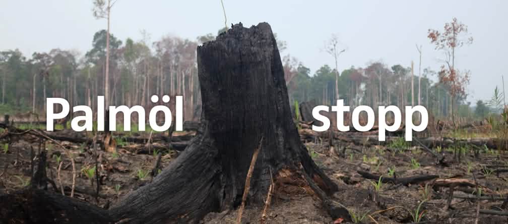 Plakat mit Aufschrift "Stopp Palmöl" Waldbrand Indonesien - Palmöl stopp