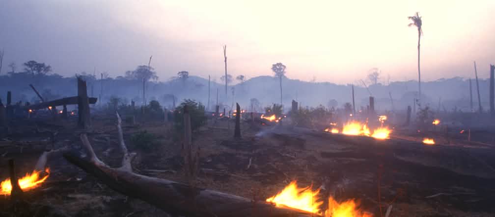 Brandrodung in Brasilien