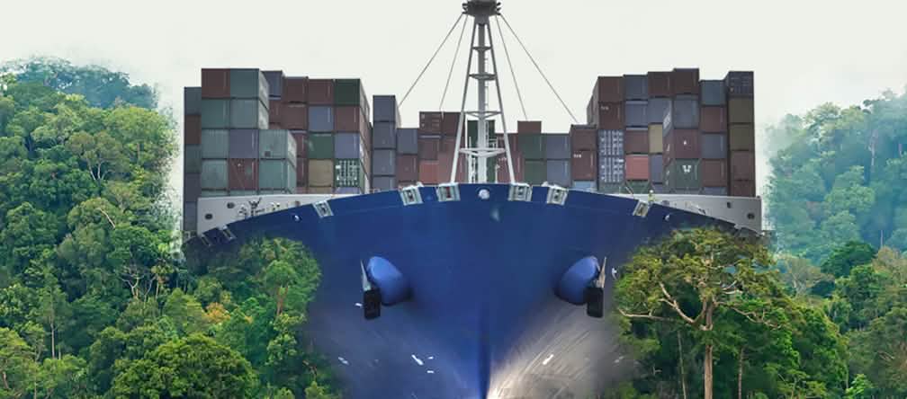 Nicaragua-Kanal: Der globale Rohstoffabbau vernichtet die Natur und bedroht die Menschen Ein Containerfrachter walzt den Regenwald platt