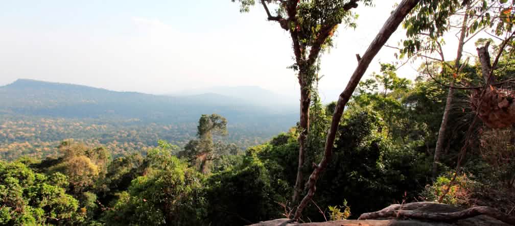 So muss es bleiben: Regenwald bis zum Horizont (Foto: Luke Duggleby)