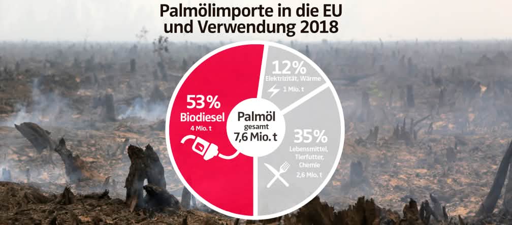 Schon zwei Drittel des in die EU importierten Palmöls gehen in Autotanks und Kraftwerke Palmölimporte in die EU und Verwendung 2018