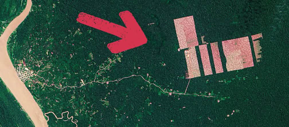 Für Plantagen werden Pisten in den Regenwald geschlagen (Foto: NASA) Peru Abholzung Tamshiaycu