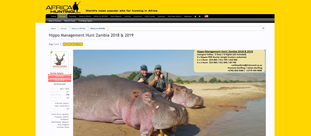 Laut Schätzungen leben lediglich 130.000 Flusspferde in der Wildnis. Screenshot Flusspferd Jäger Webseite