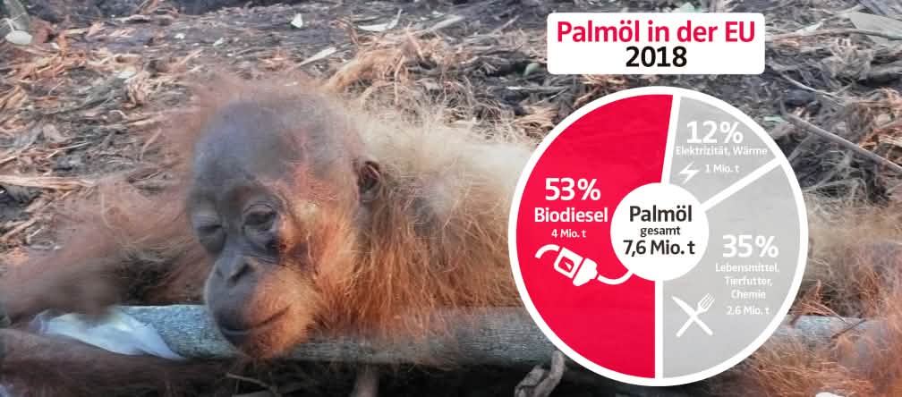 Palmölimporte in die EU und Verwendung 2018 Collage - Palmölverwendung EU 2018 mit Gefesseltes Orang-Utan-Baby - DE