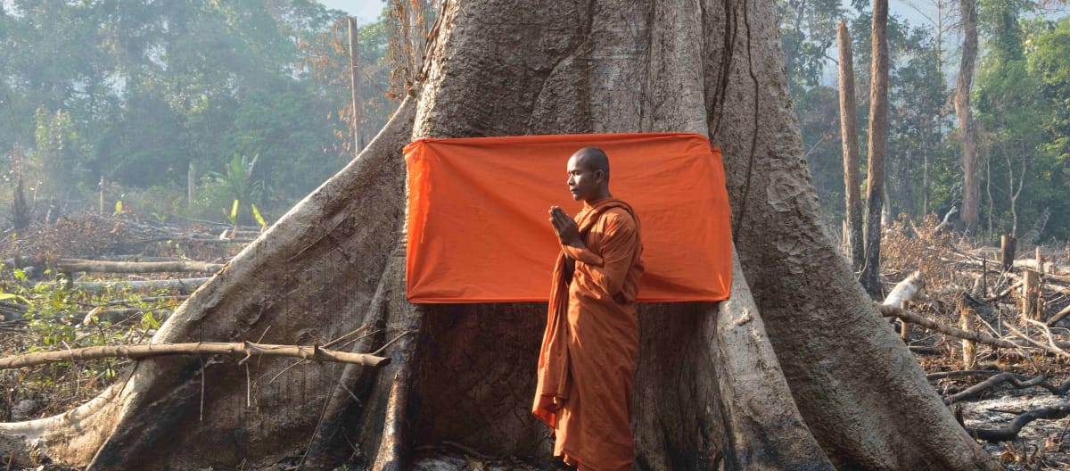 Mönch vor Baum mit orangefarbener Schärpe