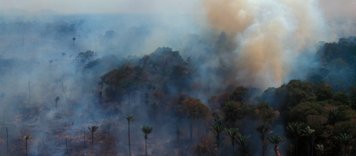 Luftaufnahme von brennendem Amazonas-Regenwald