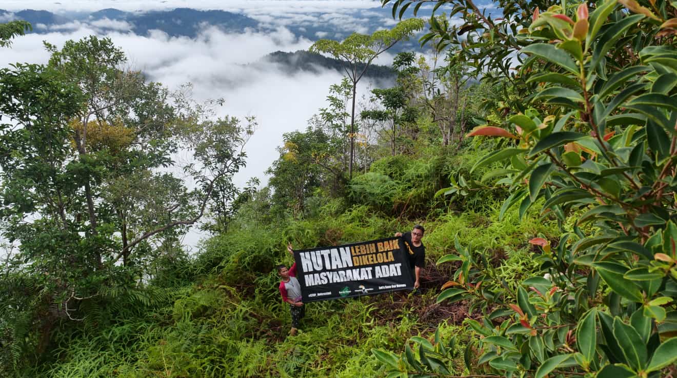 SOB-Plakat-Aktion zur Rettung des Regenwaldes auf Borneo