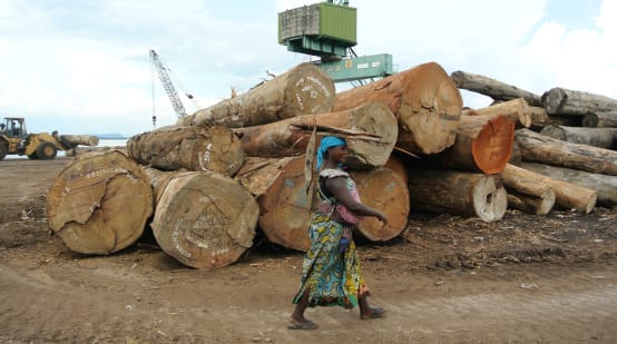 Holz im Hafen von Kinshasa