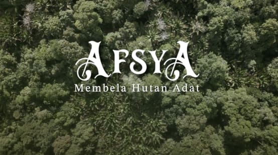 Blick auf Wald mit Filmtitel: Afsya Indigenenwald verteidigen