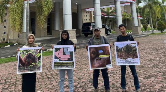 Vier Aktivisten mit Plakaten vor einem Gebäude mit Säulen