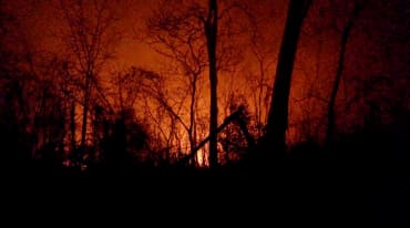 Vor dem von Feuern rot erleuchteten Nachthimmel ragen die verkohlten Reste von Bäumen hervor