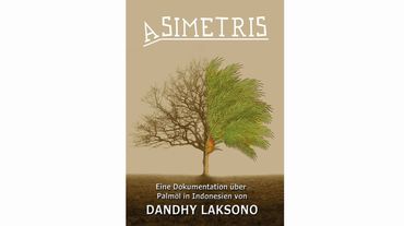 Cover der DVD Asimetris