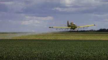 Pestizideinsatz aus der Luft über Soja-Feld