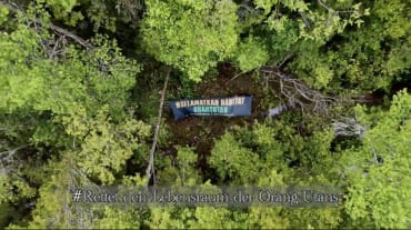 Drohnenfoto auf Wald mit Banner "Rettet den Lebensraum der Orang-Utans"