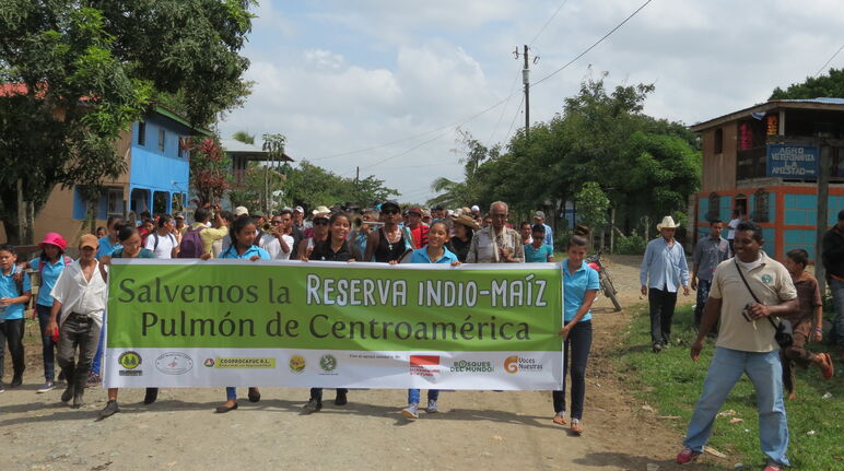 Aktion für die Rettung des Biosphärenreservats Indio-Maiz in Nicaragua