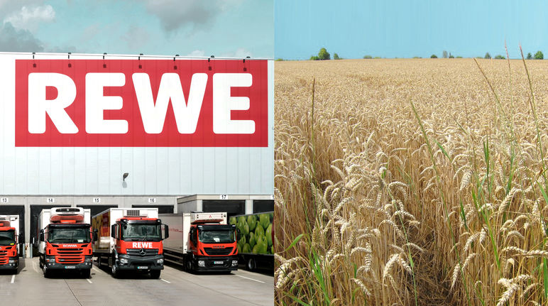 Collage REWE Logistikzenrumg + Weizenfeld