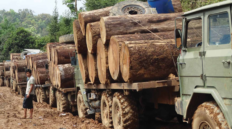Holzstämme auf Lastwagen in Myanmar