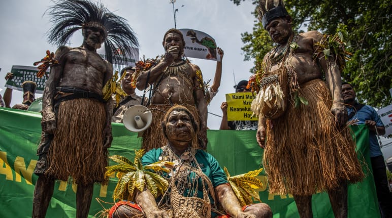 4 indigene Papua in traditioneller Kleidung vor Banner