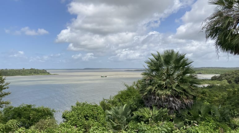 Blick auf eine Meeresbucht mit Vegetation im Vordergrund und weissen Wolken am Himmel