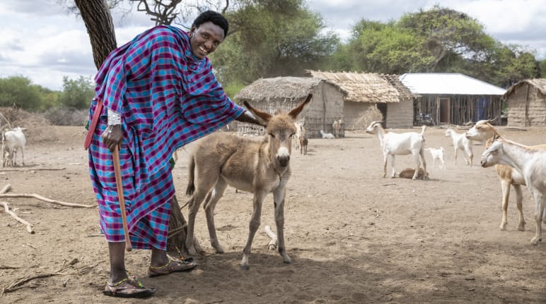 Ngorongoro Stoppt Die Vertreibung Der Massai Rettet Den Regenwald E V