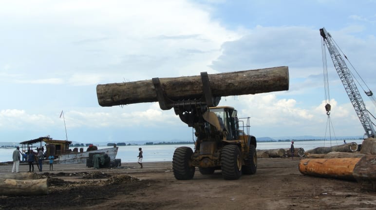 Holzverladung im Hafen von Kinshasa