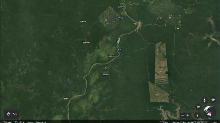 Korindo-Konzessionen im Süden Papuas Google Earth Aufnahme der Korindo Konzessionen