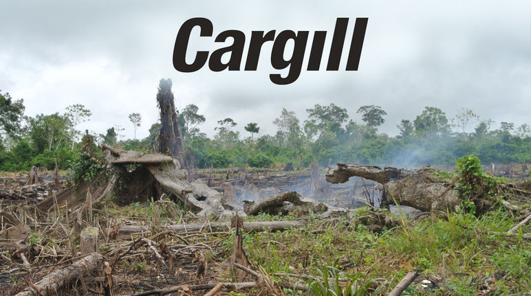 Brandrodung + Cargill Logo