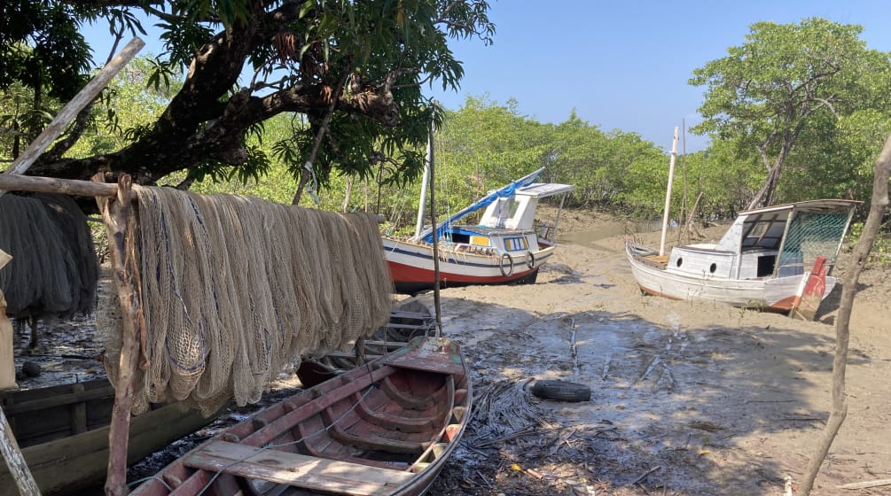 Boote und zum Trocknen aufgehängte Fischernetze in einem Mangrovenwald bei Ebbe