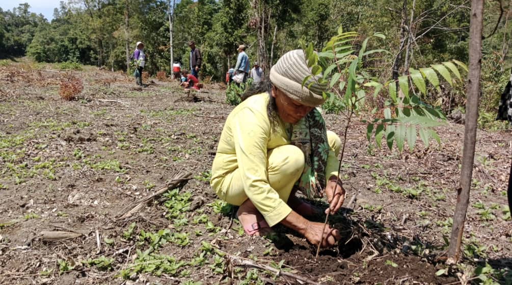 hockende Frau pflanzt Baum