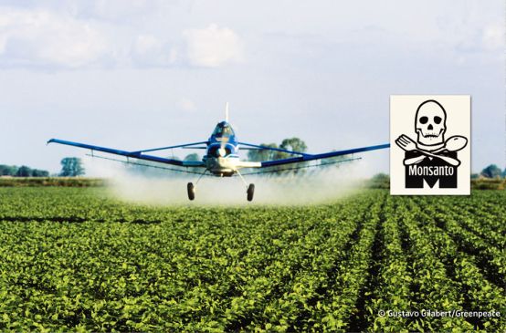 Ein Flugzeug versprüht Herbizide auf einer Soja-Plantage