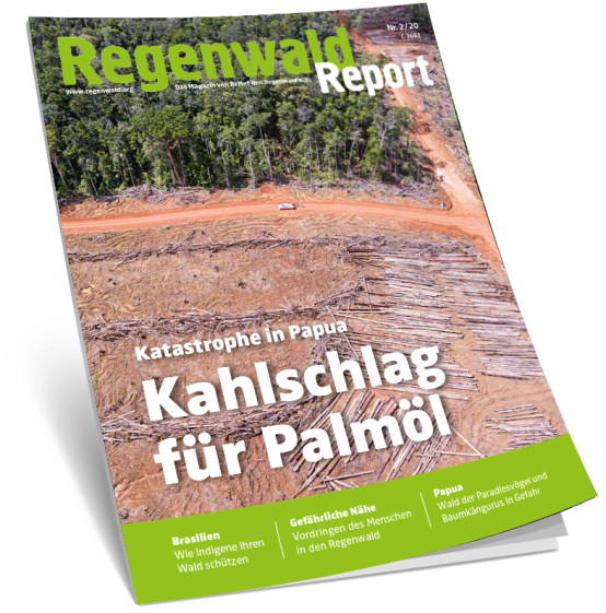 Cover Regenwald Report 02/2020