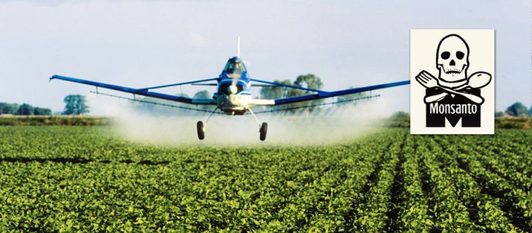 Sprühflugzeug verteilt Pestizide Ein Flugzeug versprüht Herbizide auf einer Soja-Plantage