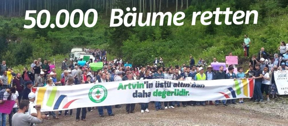 Friedlicher Protest: In der Türkei verteidigen die Menschen die Natur ihrer Heimat In der Türkei demonstrieren Einheimische gegen die Rodung von 50.000 Bäumen für eine Goldmine