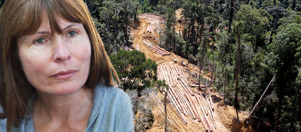 Verfolgt, weil sie unbequem ist: die Journalistin Clare Rewcastle Brown Montage: Die Journalistin Clare Rewcastle Brown vom Sarawak Report vor der Kulisse einer Rodung.