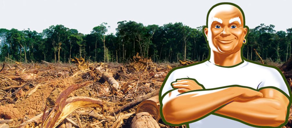 Procter&Gamble will weiter Palmöl kaufen, für das Wald gerodet wird (Hintergrundfoto: iStockphoto/ Montage: Rettet den Regenwald) Die Werbefigur Meister Proper steht mit verschränkten Armen vor gerodetem Wald