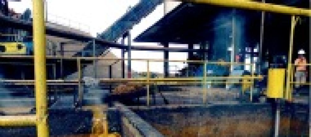 Hochwertiges Palmöl? Palmölmühle in Indonesien