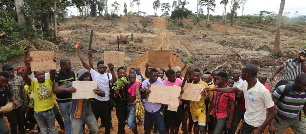 In Nigeria kämpfen die Menschen gegen die Zerstörung der Regenwälder durch den Palmöl-Konzern Wilmar In Nigeria demonstrieren Kleinbauern gegen Palmöl-Plantagen von Wilmar.