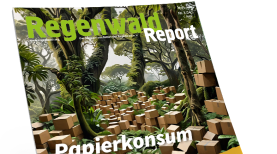 Titel Regenwald Report 3/24