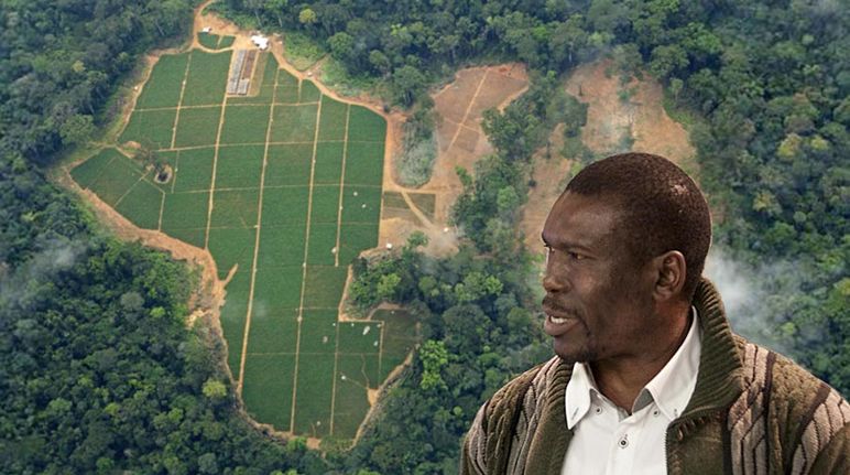 Bitte Helfen Sie Den Umweltschutzern In Kamerun Rettet Den Regenwald E V