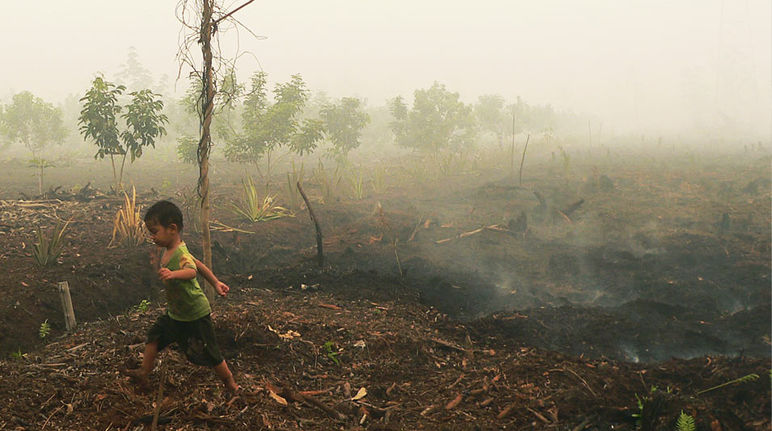 Junge läuft durch verbrannten Torfwald