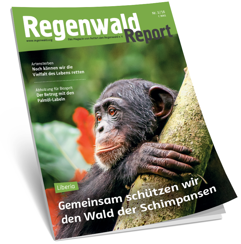 Cover Regenwald Report 03/2016