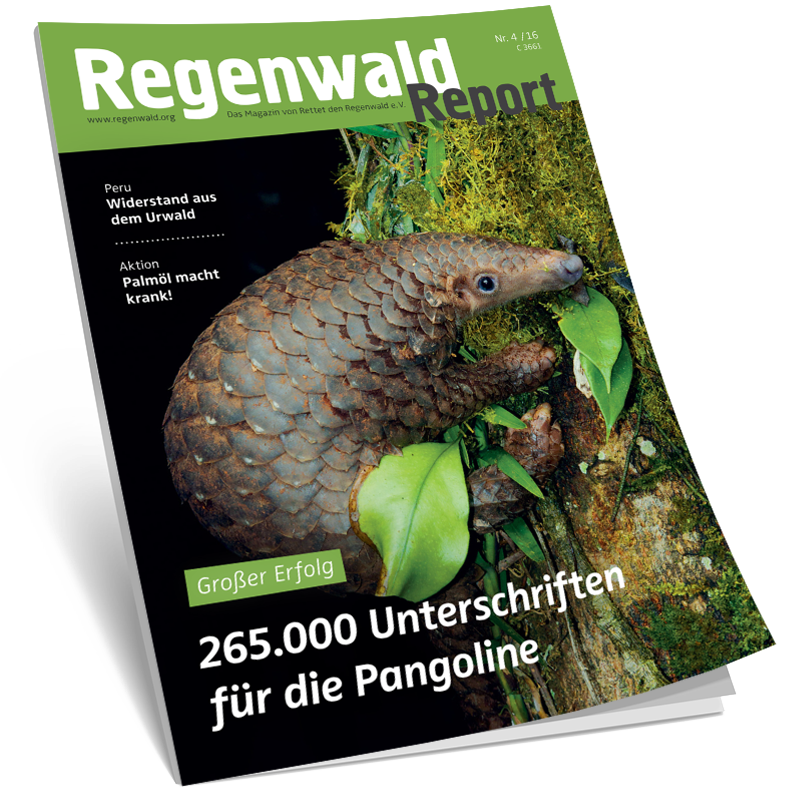 Cover Regenwald Report 04/2016