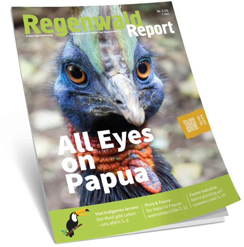 Cover Regenwald Report 01/2025