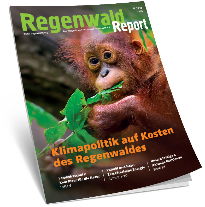Cover Regenwald Report 02/2019