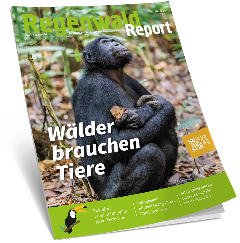Cover Regenwald Report 02/2024
