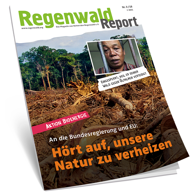 Cover Regenwald Report 03/2018