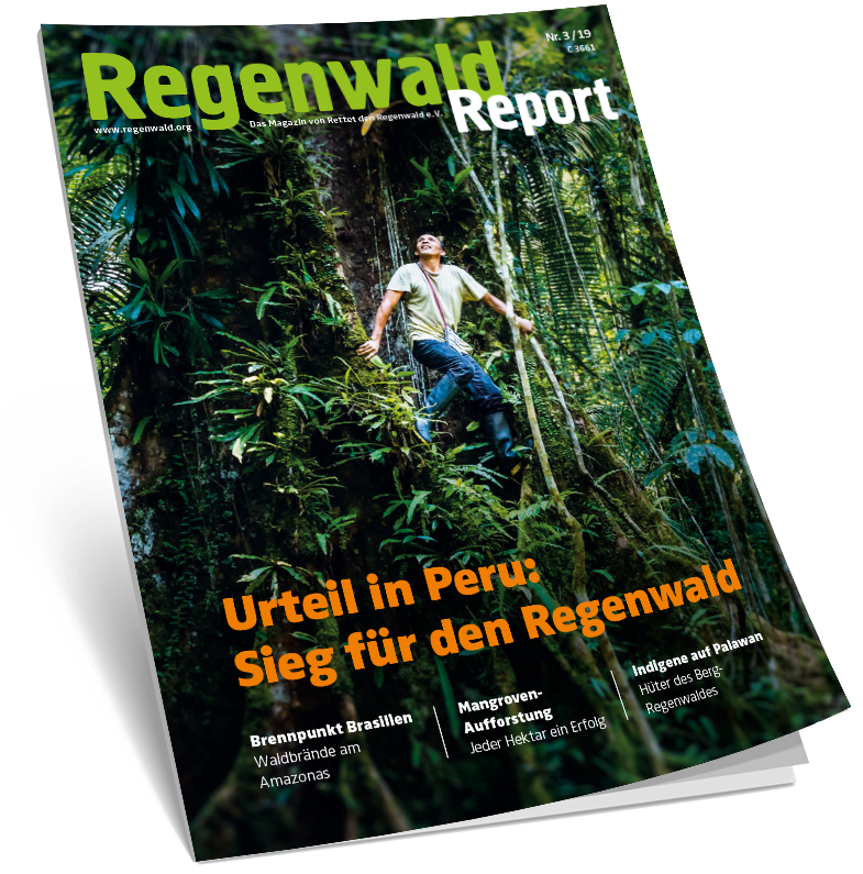 Cover Regenwald Report 03/2019