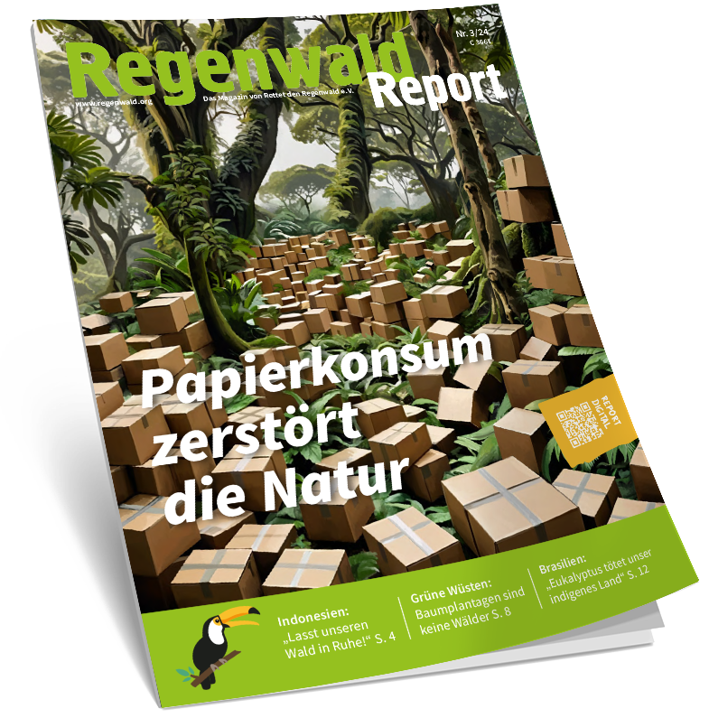 Cover Regenwald Report 03/2024