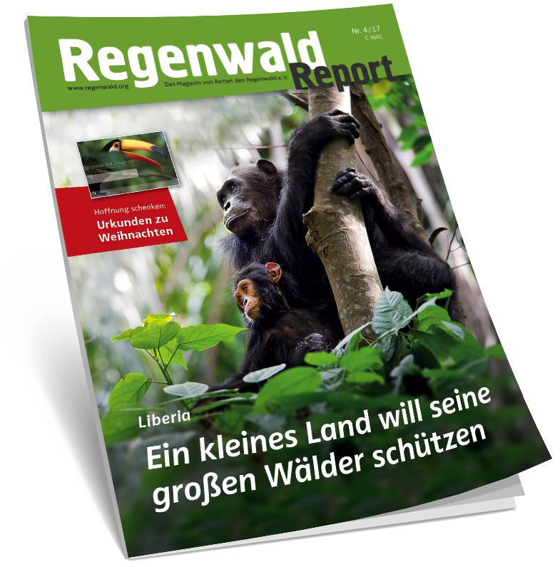 Cover Regenwald Report 04/2017