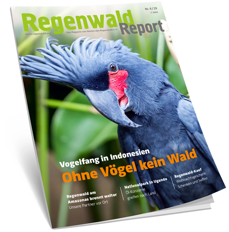 Cover Regenwald Report 04/2019